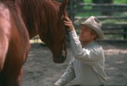 Заклинатель лошадей / The Horse Whisperer (Роберт Редфорд, Сэм Нил, Скарлетт Йоханссон, 1998)  9ab4d7205635040