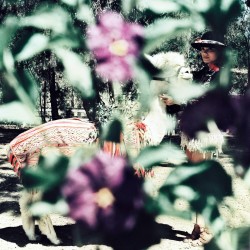 imagebam.com
